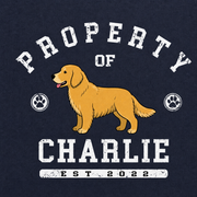 Property Of Personalized Dog T-Shirt with Dog Name & Est. Year